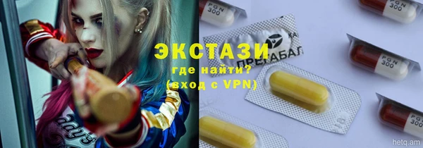 дмт Богородицк