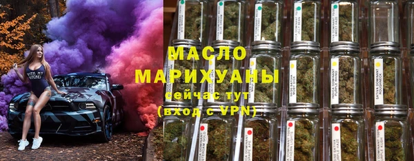 дмт Богородицк