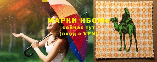 стафф Семикаракорск