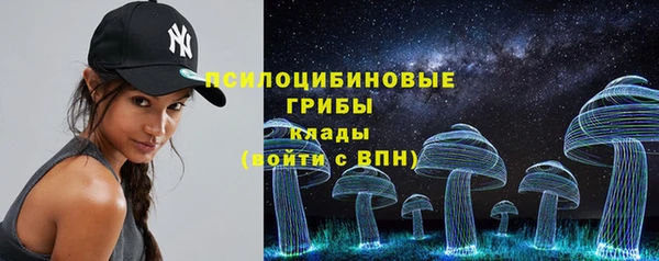 прущая мука Богородск