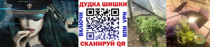 Шишки марихуана марихуана  как найти наркотики  Малая Вишера 